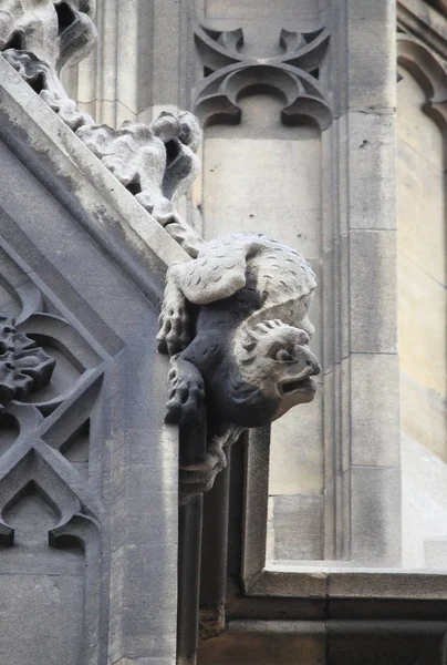 Gargoyle in Westminster Palace — Stock Photo, Image