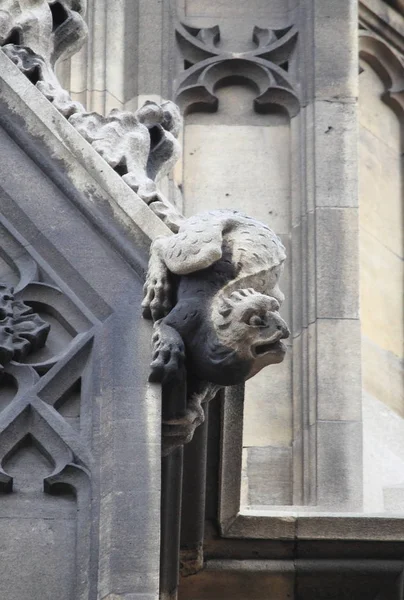 Gargoyle a Westminster Palace — Foto Stock