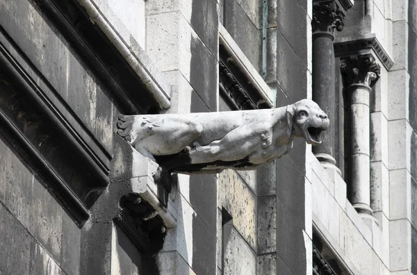 Gargoyle Basilikan Sacre Coeur Paris Frankrike — Stockfoto