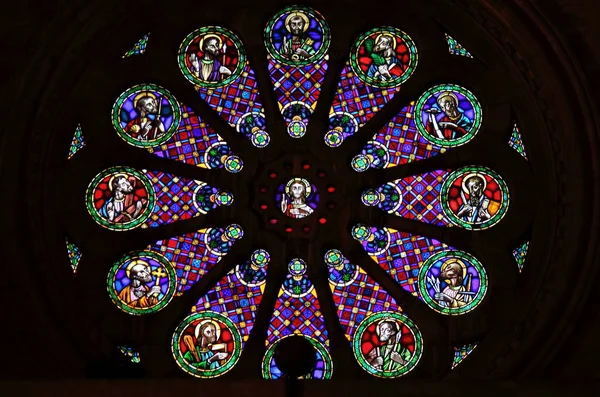 Stained glass rose window — Stock Photo, Image