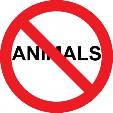 hayvan iz yok