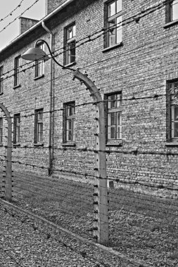 Dikenli tel Auschwitz toplama kampında