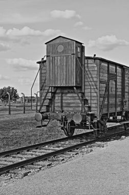 auschwitz Birkenau'da sürgün vagon