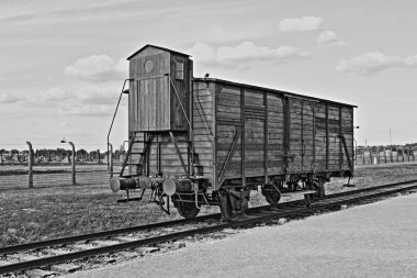 auschwitz Birkenau'da sürgün vagon