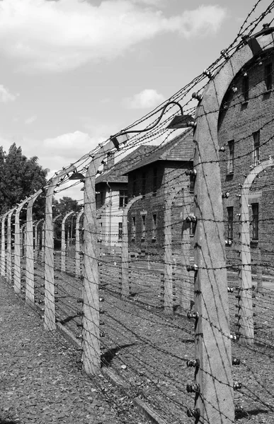 Auschwitz'de dikenli tel — Stok fotoğraf