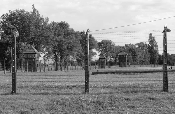 Колючим дротом на Аушвіц-Біркенау — стокове фото