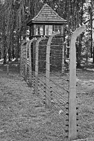 Alambre de púas en Auschwitz Birkenau — Foto de Stock