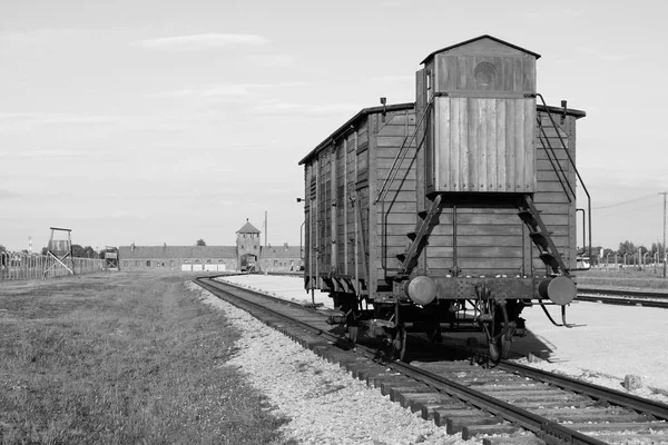 Auschwitz Birkenau'da sürgün vagon — Stok fotoğraf