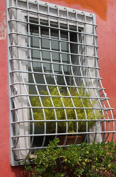 Fenster mit Blumen und Gitter — Stockfoto