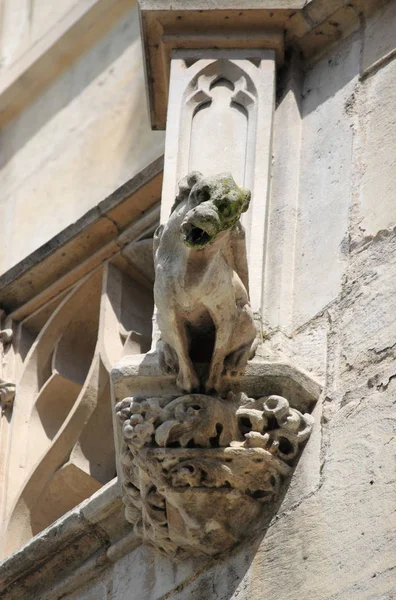 Saint-Jacques kulesinde çirkin yaratık — Stok fotoğraf