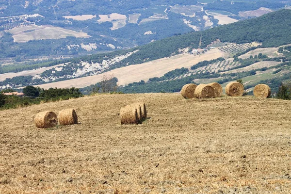 Hooibalen op het platteland — Stockfoto