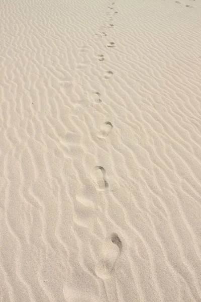 Human footsteps in the sand dunes — Stock Photo, Image