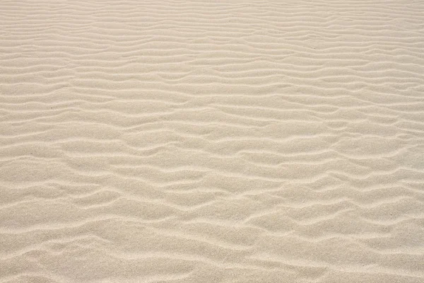 Sand pattern on the dunes — Stock Photo, Image
