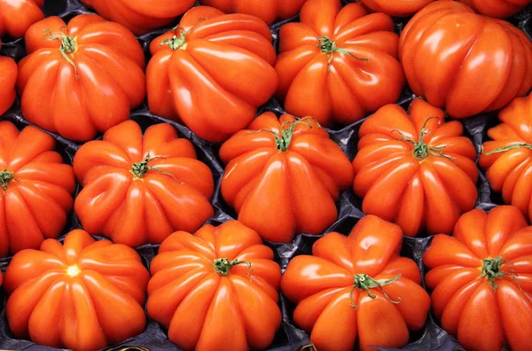 De nombreuses tomates juteuses à vendre dans un étal de marché — Photo