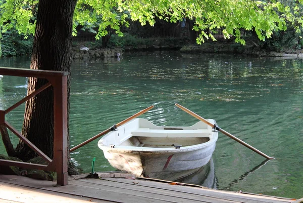 Rowing Boat Moored Lake — Stock Photo, Image