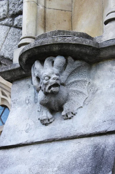 Medeltida basrelief med gargoyle i Dublin — Stockfoto