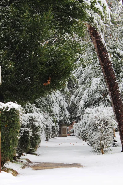 Winter Snow Walkway Public Park — Stock Photo, Image