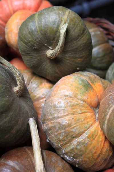 Calabazas Venta Supermercado Verde — Foto de Stock