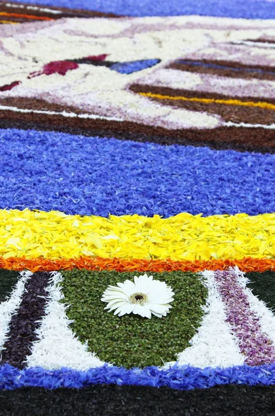 Çiçek Yaprakları Ile Yapımı Çok Renkli Çiçek Halı — Stok fotoğraf
