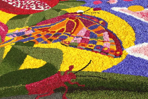 Infiorata Spello, Olaszország — Stock Fotó