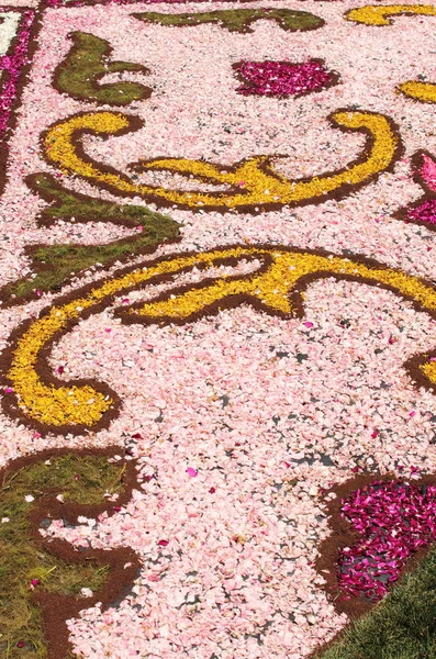 Infiorata of Genzano — Stock Photo, Image