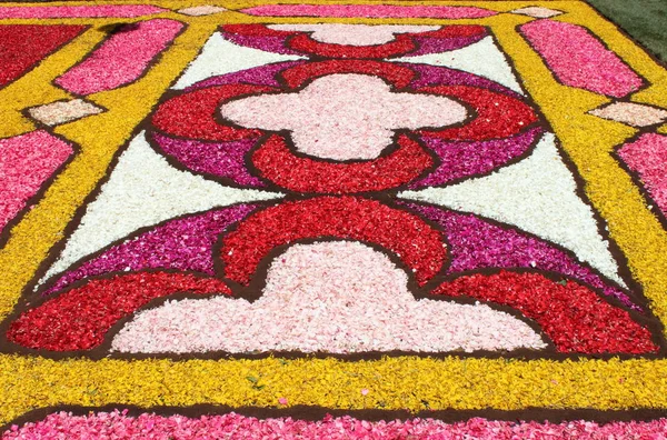 Infiorata of Genzano — Stock Photo, Image