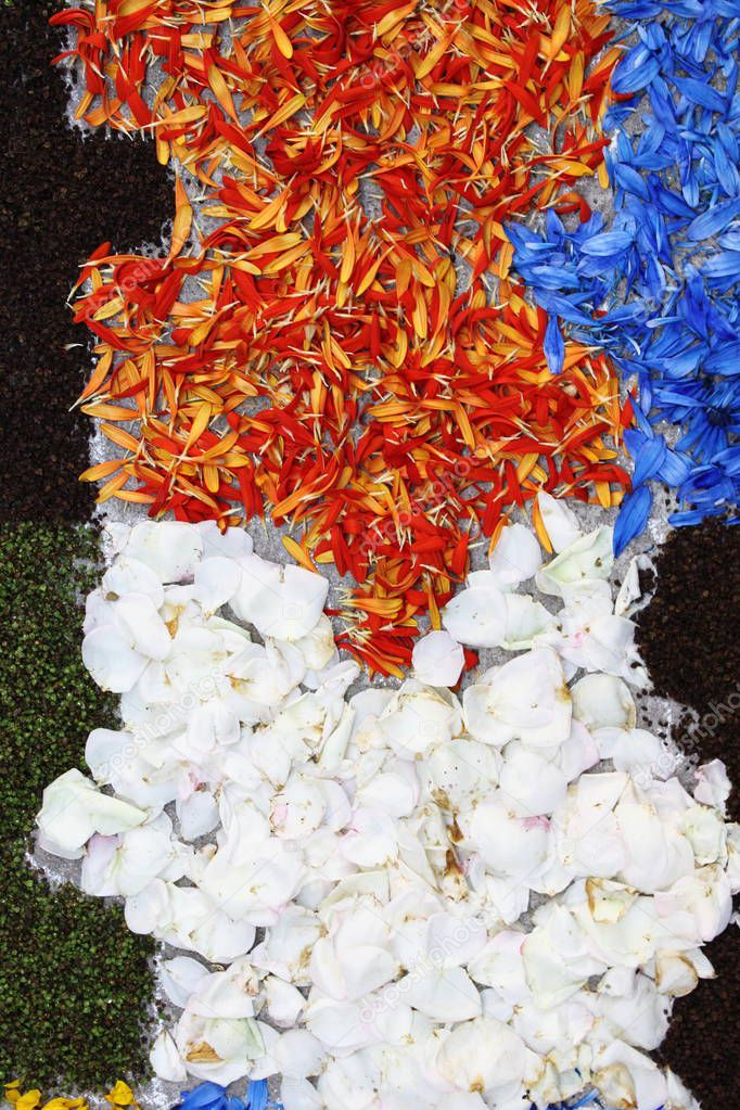 Multicolored floral carpet made with flower petals