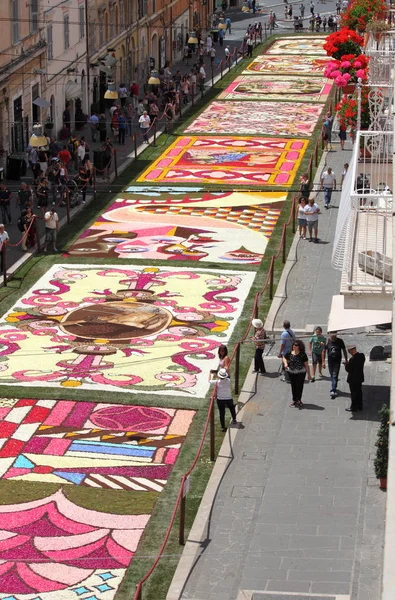 Infiorata av genzano — Stockfoto