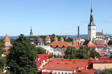 Tallinn panoramik görünüm
