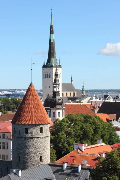 Panoramisch uitzicht van tallinn — Stockfoto