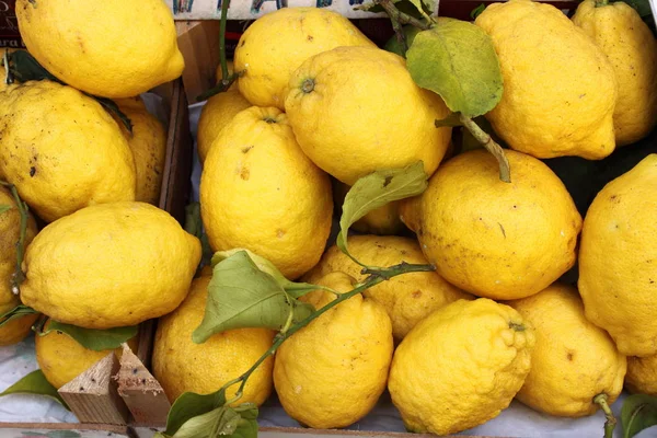 Citrons traditionnels sur la côte amalfitaine — Photo