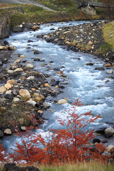 Rapids Στο Εθνικό Πάρκο Torres Del Paine Χιλή — Φωτογραφία Αρχείου