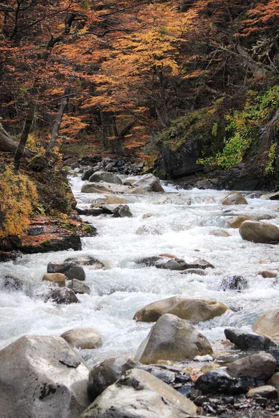 Rapids Στο Εθνικό Πάρκο Torres Del Paine Χιλή — Φωτογραφία Αρχείου