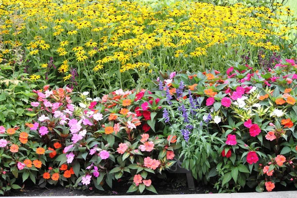 春に開花する花壇 — ストック写真