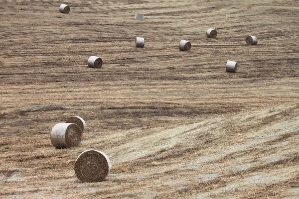 Balle Fieno Campagna — Foto Stock