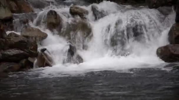 Gebirgsbach, kleiner Wasserfall — Stockvideo