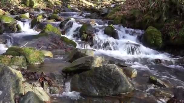 Mountain stream, small waterfall — Stock Video