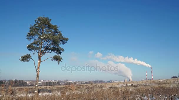 Теплоэлектростанция или завод с дымовыми трубами и одиноким деревом . — стоковое видео