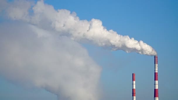 Emissie van industriële fabriek pijp roken. — Stockvideo