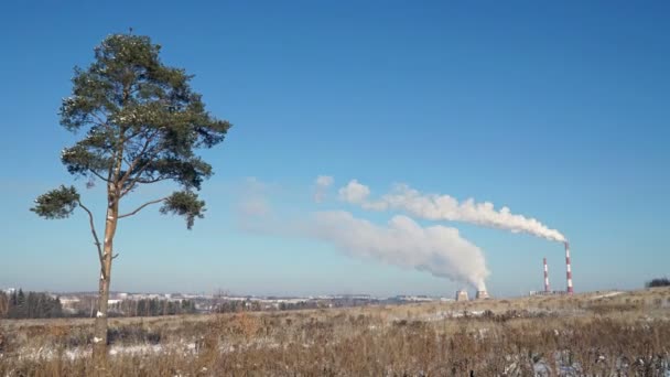 Thermische elektriciteitscentrale of een fabriek met roken schoorstenen en een eenzame boom. — Stockvideo