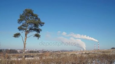 Termik santral ya da sigara bacaları ve yalnız bir ağaç ile bir fabrika.
