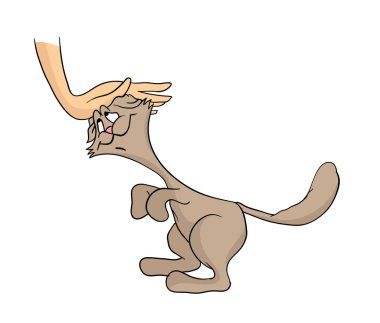 İnsan eli okşayarak nazik mutlu kedi. Beyaz izole karikatür vektör çizim.