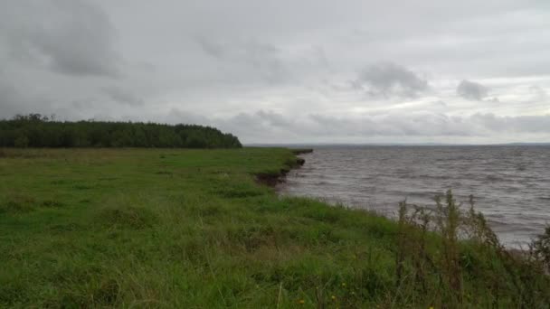 Ribera del río con hierba bajo el cielo nublado en un día ventoso . — Vídeos de Stock