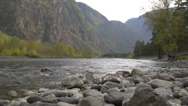 Belle vue paysage d'un ruisseau de rivière de montagne avec des rives rocheuses, la forêt, et des sommets de montagne à l'horizon . — Video