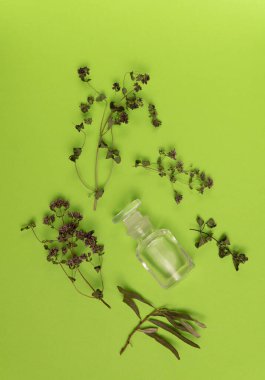 Yeşil arka planda kurumuş bitkiler ve boş şişe. Bitkisel ilaçlar, temel yağ. Alternatif tıp konsepti. Kopyalama alanı olan arkaplan.