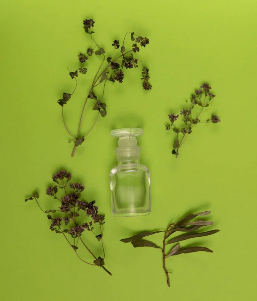 Dried herbs and empty vial on green background. Herbal medicine, essential oil. Alternative medicine concept. Background with copy space. — Stock Photo, Image