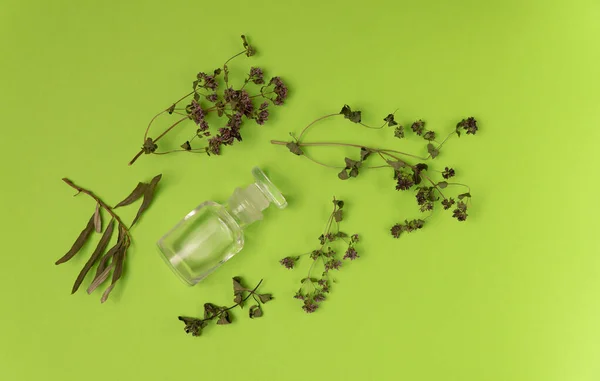 Dried herbs and empty vial on green background. Herbal medicine, essential oil. Alternative medicine concept. Background with copy space. — Stock Photo, Image