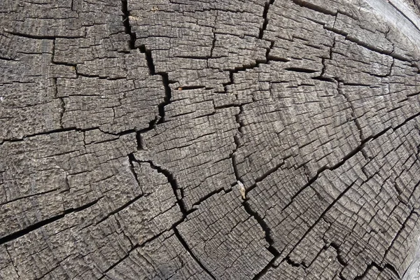 Стару тріснуту текстуру дерев'яного пня. Дерев'яний фон . — стокове фото