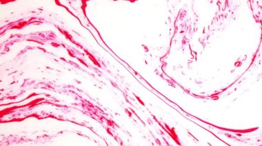 Hareket soyut boya mürekkep. Psychedelic arka plan görüntüleri. Renkli noktalar.