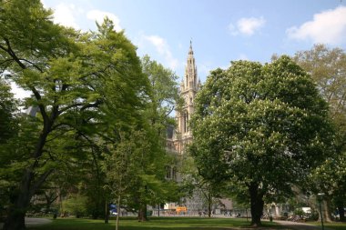 Güzel park city hall (Rathaus) Viyana, Avusturya'da yakınındaki. Nisan, 2008.